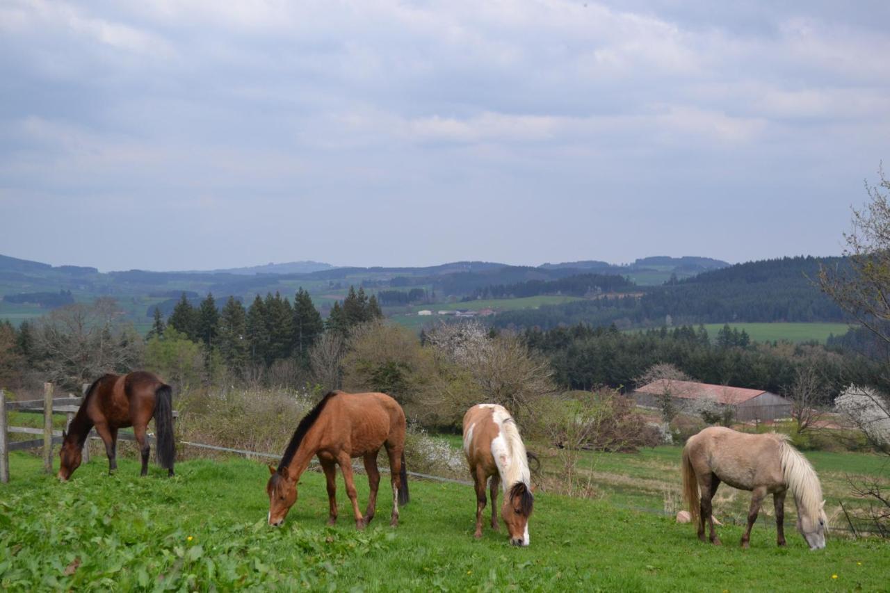 Les Perruchons Ancienne Grange Renovee Avec Soin Villa Ozolles Exteriör bild