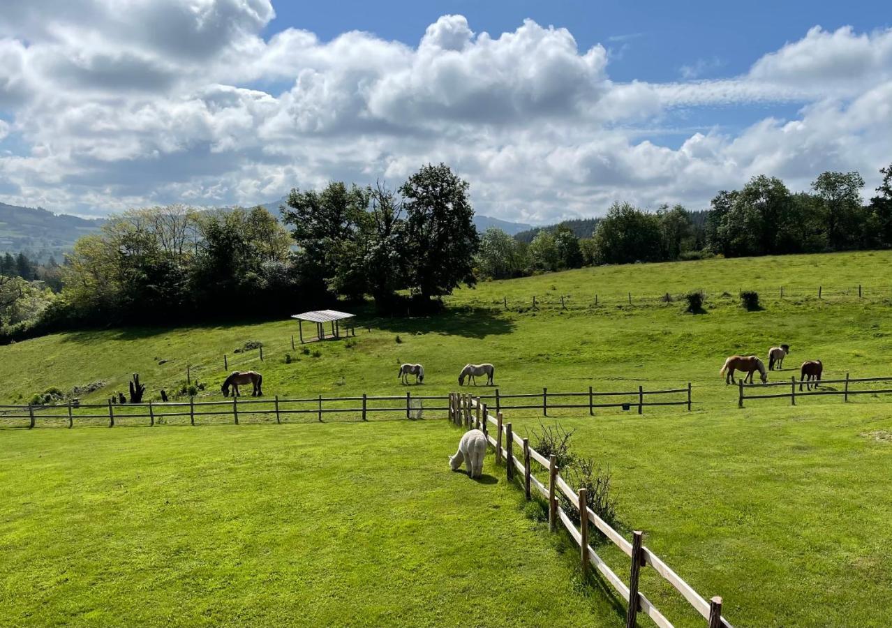 Les Perruchons Ancienne Grange Renovee Avec Soin Villa Ozolles Exteriör bild