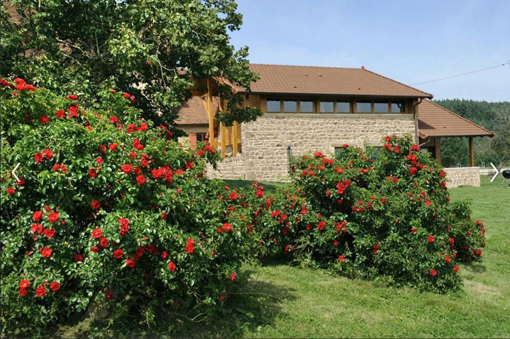 Les Perruchons Ancienne Grange Renovee Avec Soin Villa Ozolles Rum bild