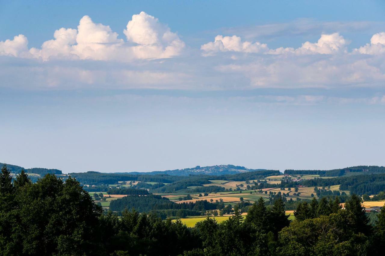 Les Perruchons Ancienne Grange Renovee Avec Soin Villa Ozolles Exteriör bild