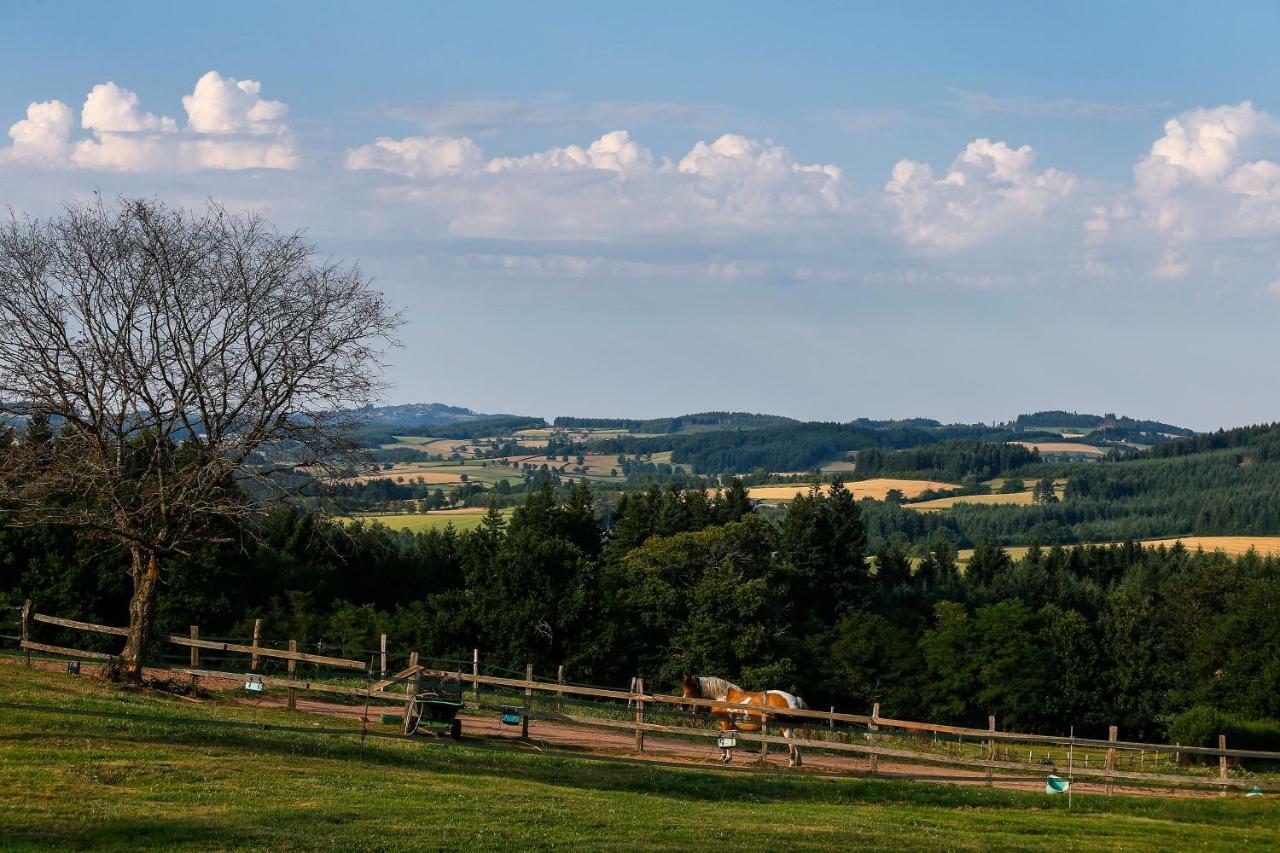Les Perruchons Ancienne Grange Renovee Avec Soin Villa Ozolles Exteriör bild