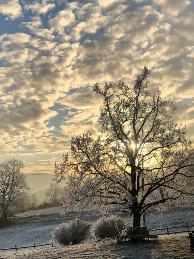 Les Perruchons Ancienne Grange Renovee Avec Soin Villa Ozolles Exteriör bild